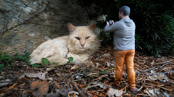 Некоторые из сюрреалистических снимков, которые он сделал
