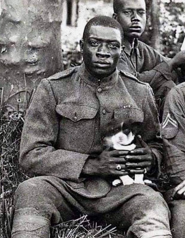 11. Harlem Hellfighters (369. Piyade Alayı), 1. Dünya Savaşı sırasında Amerikan tarihinin en ölümcül askeri harekatı olan Meuse-Argonne Taarruzu'nda 191 gün boyunca ön cephelerin siperlerinde savaşan ve tamamen siyahi askerlerden oluşan bir piyade alayıydı.