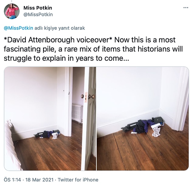 "* David Attenborough seslendirmesiyle * Bu çok etkileyici bir yığın, tarihçilerin önümüzdeki yıllarda açıklamakta zorlanacakları nadir bir karışım..."