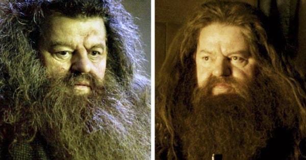 Hagrid'e ayrca Harry Potter'ı dünyaya yeniden tanıtma görevi verilmiştir.