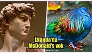 Öğrendiğinizde Dünyaya Olan Bakış Açınızı Değiştirecek Birbirinden Şok Edici 23 İlginç Bilgi