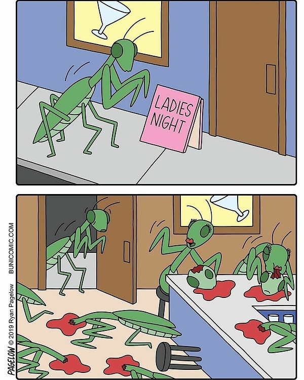 11. Клуб для женщин