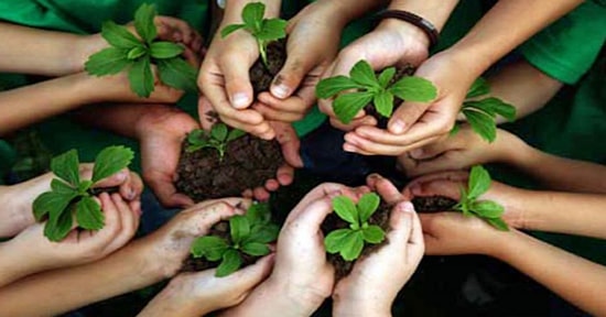 Bu Test Çocuğunun Doğa Sevgisini Ölçüyor!