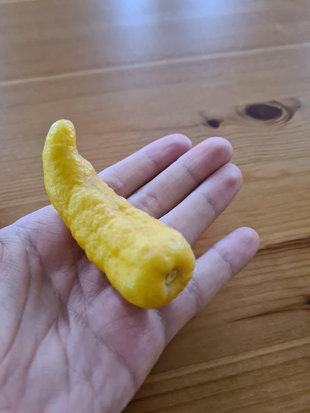 13. "Biber şeklinde limon olur mu demeyin!"