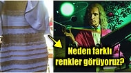 Hiç Olmayan Bir Rengi Hayal Etmek Neden İmkansızdır?