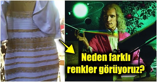 Hiç Olmayan Bir Rengi Hayal Etmek Neden İmkansızdır?