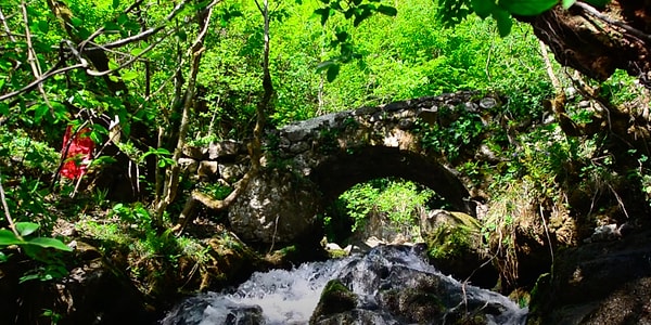 Yeldeğirmeni Tabiat Parkı