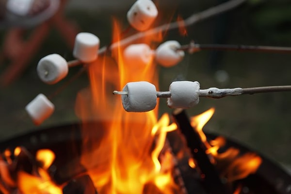 7. Маршмеллоу были не особо популярны в нашей стране, поэтому многие думали, что на костре в фильмах жарят сало :)