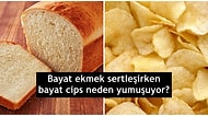 Neden, Niçin, Nasıl? Merak Edilen Bazı Sorulara Verilmiş Aydınlatıcı Cevaplar