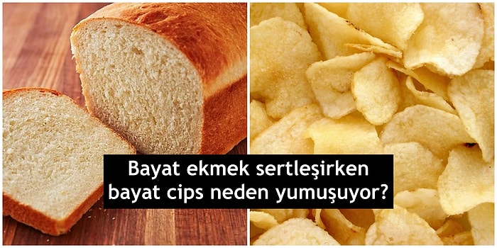 Neden, Niçin, Nasıl? Merak Edilen Bazı Sorulara Verilmiş Aydınlatıcı Cevaplar