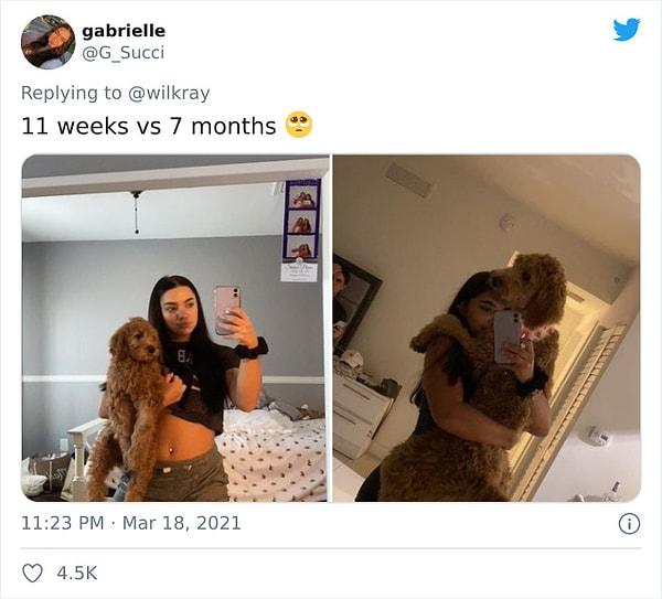9. "11 haftalık ve 7 aylık"