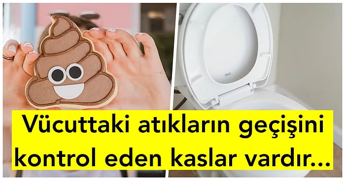 Neden Kakamızı Yaparken Çişimizi Tutamayız?