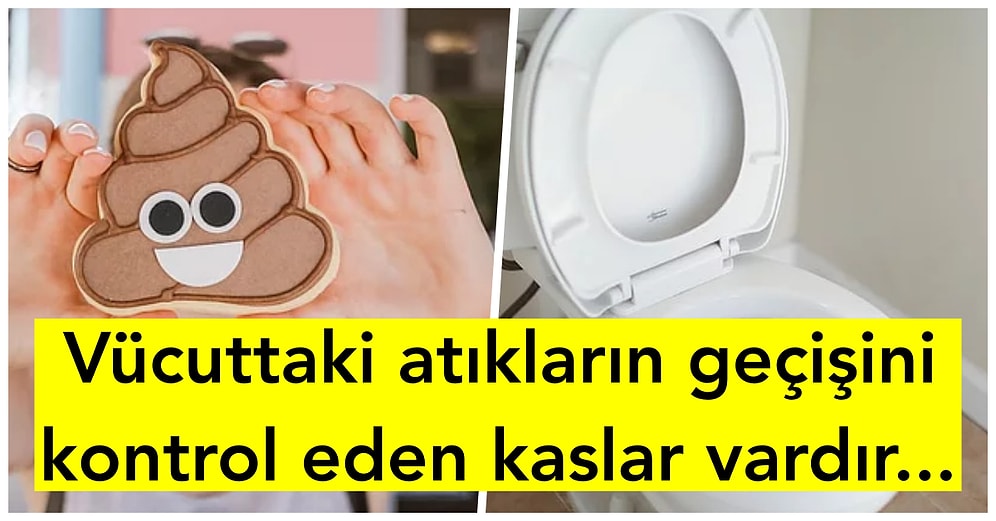 Neden Kakamızı Yaparken Çişimizi Tutamayız?