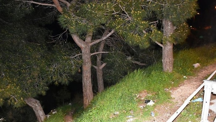 İzmir'de Vahşet! Ormanlık Alanda Bir Kadına Ait Kafatası ve Kaburga Bulundu