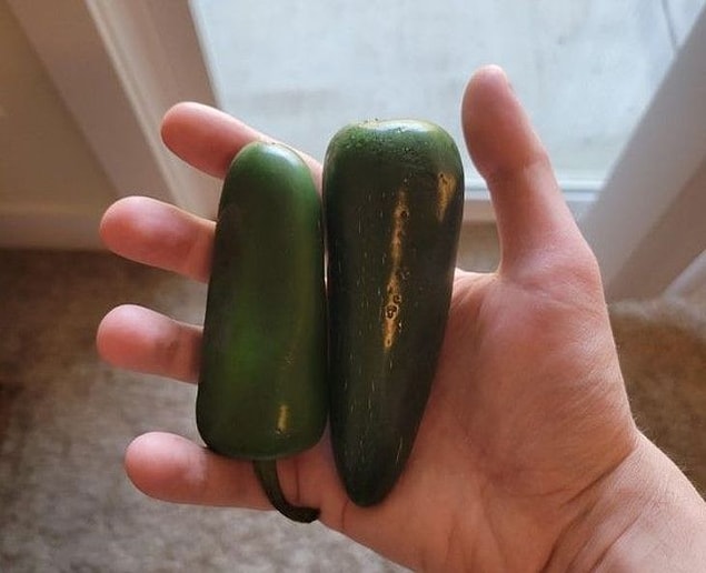4. "Akşam yemeği için yarım kilo jalapeno biberi sipariş ettim onun yerine iki tane göndermişler."