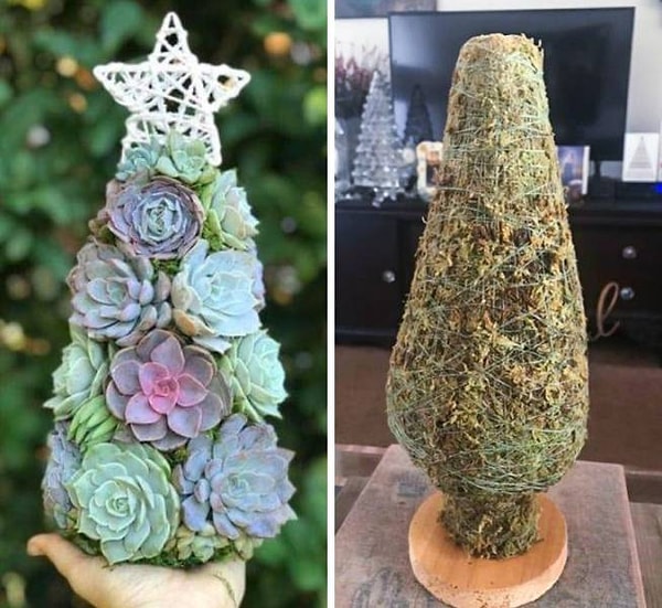 5. "Заказал эту симпатичную суккулентовую елочку для своей подруги. Давно я так не порочился..."