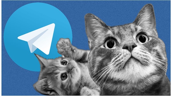 4. ZHYU (YouTube Life) (824K подписчиков)