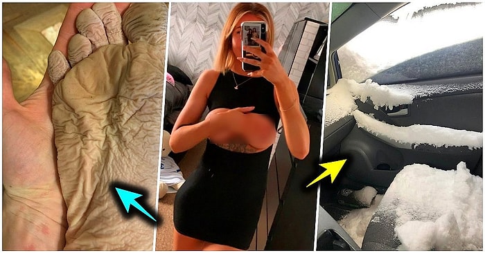 Çöle Düşse Kutup Ayılarıyla Karşılaşıp Birtakım Tatsız Olaylar Yaşayabilecek 15 Bahtsız Kişi