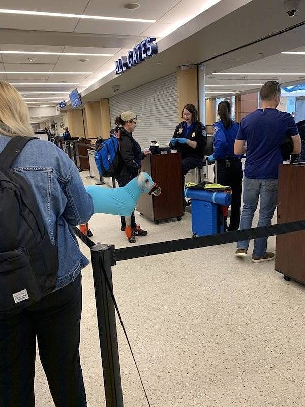 10. "А вот эта женщина путешествует вместе со своим животным для эмоциональной поддержки".