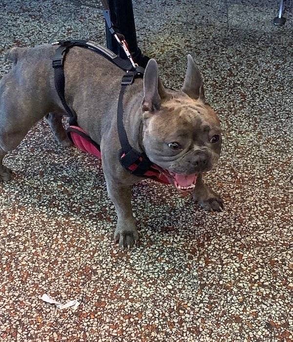 13. "Сижу я как-то в аэропорту и предвкушаю веселый полет из-за плачущего ребенка. И тут я поворачиваюсь и вижу этого "ребенка".