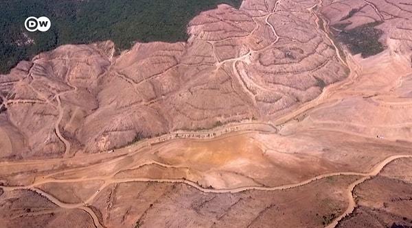 Biga Yarımadası’nın yaklaşık yüzde 80’ine altın madeni ruhsatı verilmiş durumda.