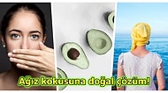 Bloggerların Sofrasından Asla Eksik Olmayan Avokadoyu 30 Gün Boyunca Yediğinizde Vücudunuzda Neler Değişir?