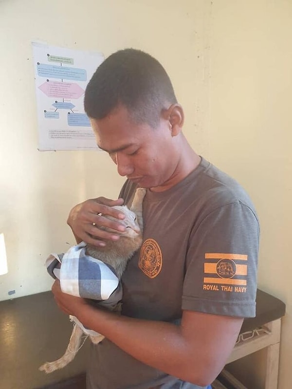 Спаситель и спасенные, разделяя момент