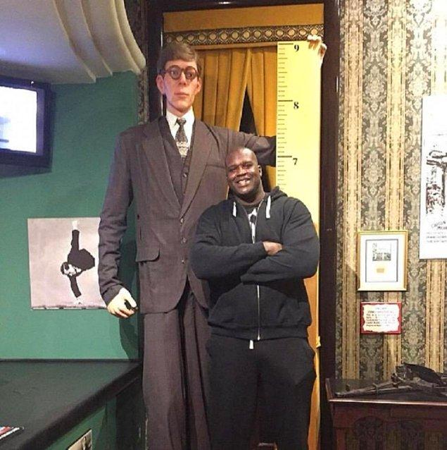 14. Dünyadaki kaydedilmiş en uzun adam 271.78cm boyuyla Robert Wadlow'du ve 1940 yılında daha 22 yaşındayken hayatını kaybetti.