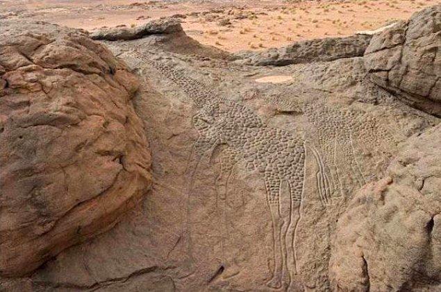 19. Nijer'de bulunan bu dikkat çekici zürafa desenli gravürlerin M.Ö. 9000 ila 6500 yılları arasında yapıldığı düşünülmektedir.