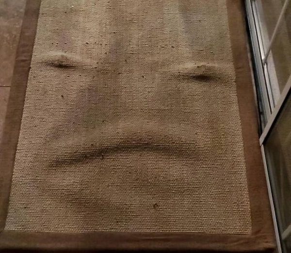 5. "Постирал свой коврик, и теперь он с презрением косится на меня".