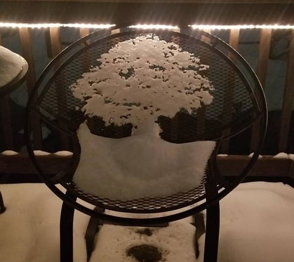 6. "Тающий снег на спинке стула образовал силуэт ветвистого дерева".