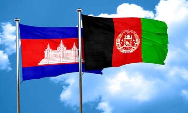 5. Afganistan ve Kamboçya bayraklarını diğer bayraklardan ayıran bir özellik var...
