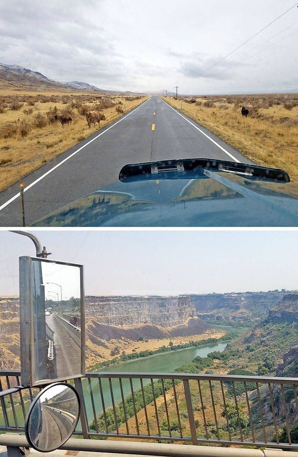 4. "В работе водителем есть одно крутое преимущество - виды вокруг!"