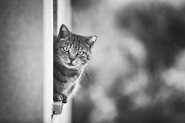 10. О, привет! Давно не виделись)