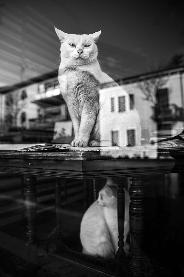 14. "На что ты смотришь, человек?"