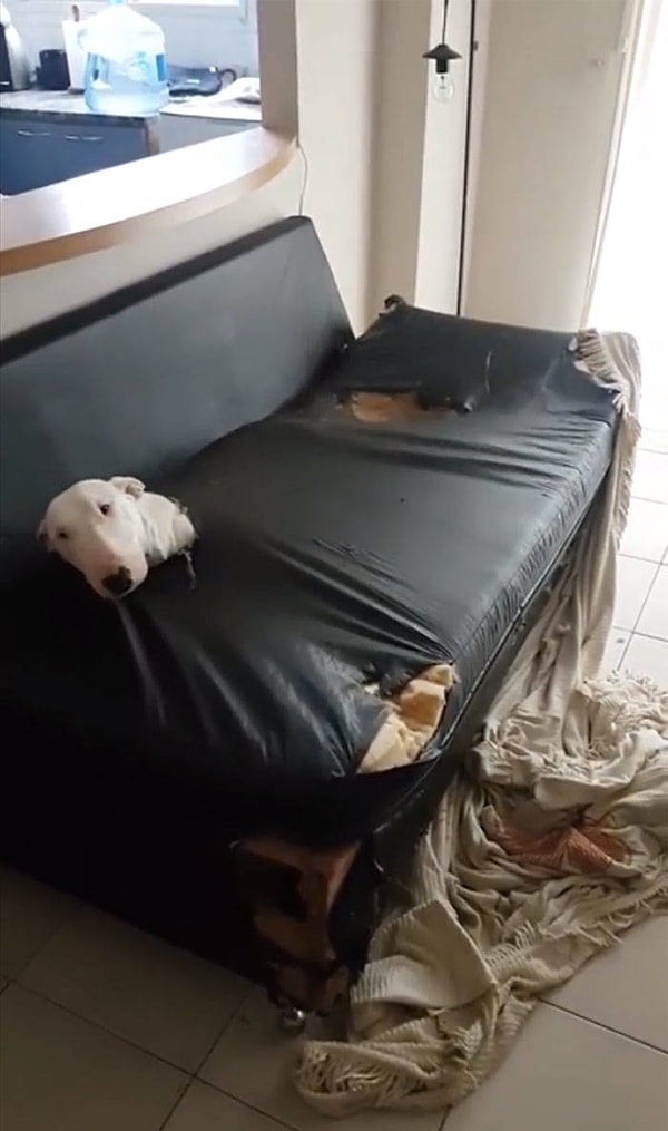 2. "Попахивает поездкой в Икею".