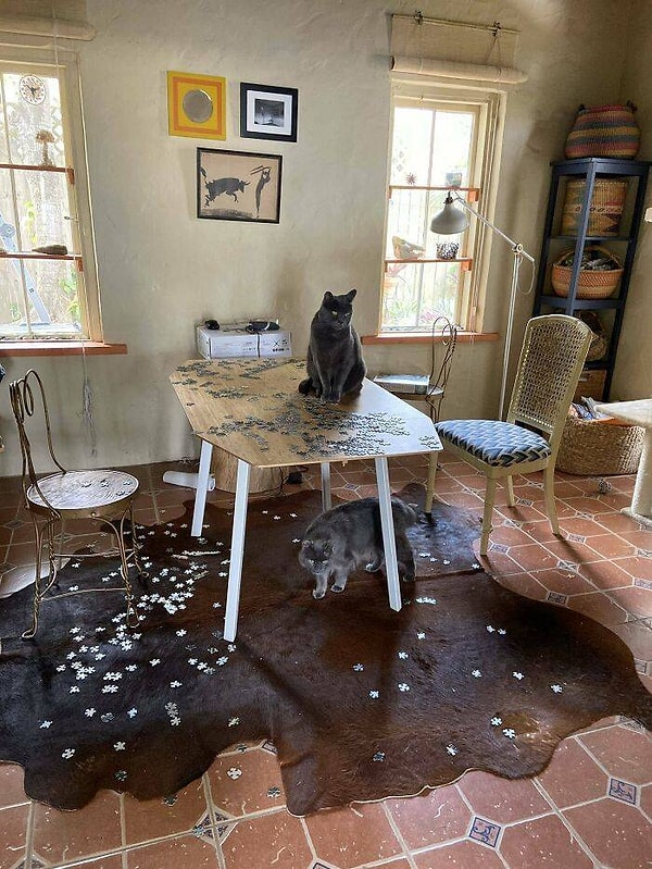 12. "Спасибо за помощь, ребята!"