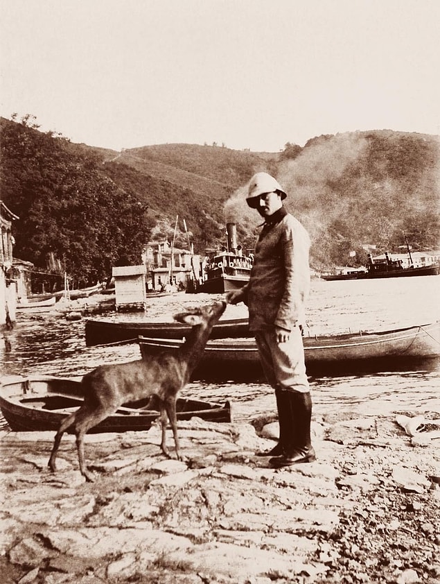 Balkan Savaşı'nın patlak vermesiyle tekrar orduya katılır Niyazi Bey ve savaştan sonra 17 Nisan 1913'te Arnavutluk'un Avlonya limanında İstanbul'a gitmek üzereyken...