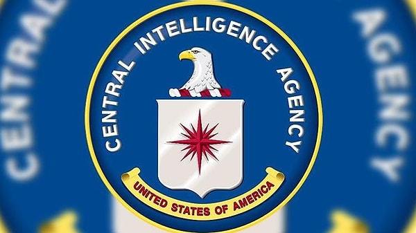 Buna karşılık CIA, devlete bağlı resmi bir kurum olmamasına rağmen devlet ile eş güdümlü olarak çalışan bir sivil toplum örgütüdür.