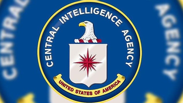 Buna karşılık CIA, devlete bağlı resmi bir kurum olmamasına rağmen devlet ile eş güdümlü olarak çalışan bir sivil toplum örgütüdür.