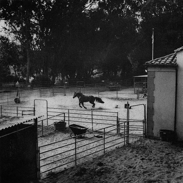 15. Петрихор