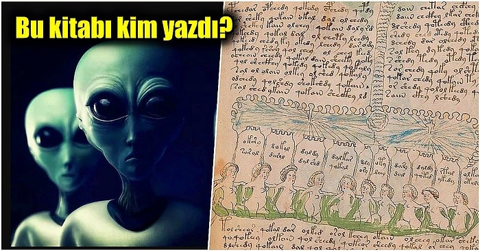 Yüz Yılı Aşkın Süredir İçinde Ne Yazdığı Çözülemeyen Kitap: Voynich El Yazması