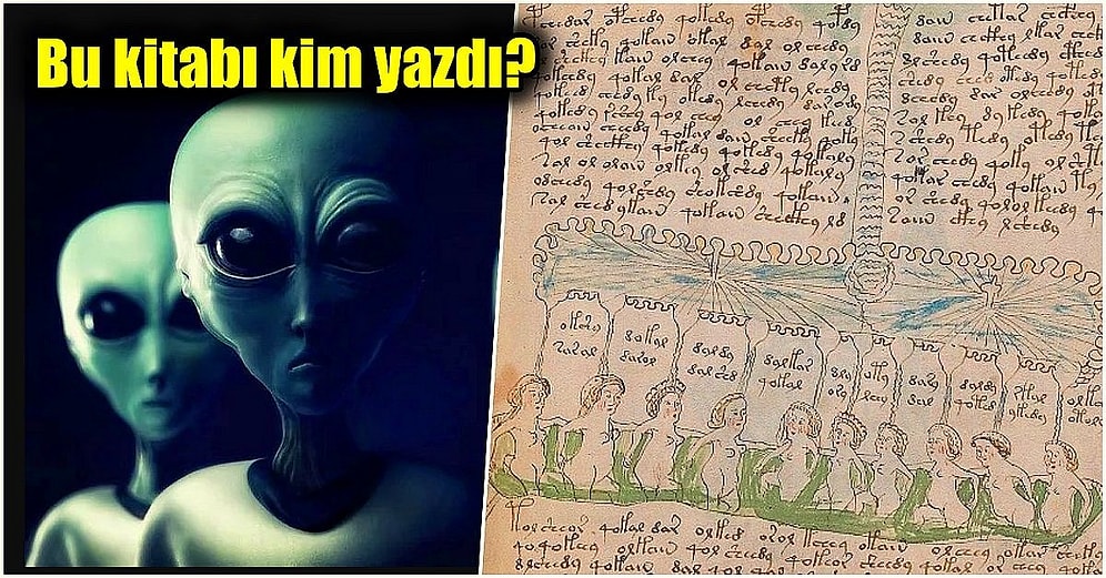 Yüz Yılı Aşkın Süredir İçinde Ne Yazdığı Çözülemeyen Kitap: Voynich El Yazması