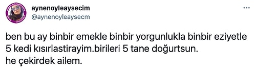 Cins Kedisini Çiftleştiren Ünlü Oyuncu Ahu Sungur, Gelen Eleştirilere Beyin Yakan Bir Cevap Verdi