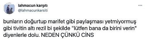 Cins Kedisini Çiftleştiren Ünlü Oyuncu Ahu Sungur, Gelen Eleştirilere Beyin Yakan Bir Cevap Verdi