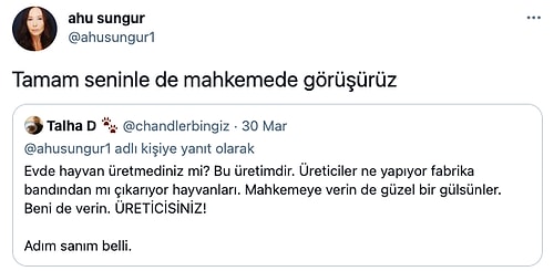 Cins Kedisini Çiftleştiren Ünlü Oyuncu Ahu Sungur, Gelen Eleştirilere Beyin Yakan Bir Cevap Verdi