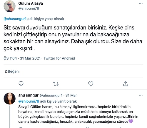 Cins Kedisini Çiftleştiren Ünlü Oyuncu Ahu Sungur, Gelen Eleştirilere Beyin Yakan Bir Cevap Verdi