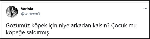 8 Yaşındaki Çocuk Kafasından Isırıldı, Belediyenin 'Minik Dostumuz' Tweeti Tepkilere Neden Oldu