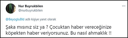 8 Yaşındaki Çocuk Kafasından Isırıldı, Belediyenin 'Minik Dostumuz' Tweeti Tepkilere Neden Oldu