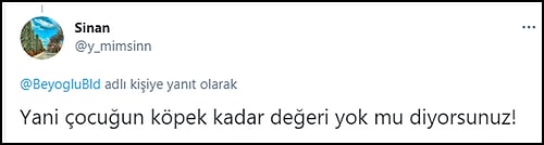 8 Yaşındaki Çocuk Kafasından Isırıldı, Belediyenin 'Minik Dostumuz' Tweeti Tepkilere Neden Oldu